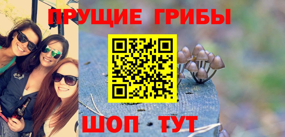 Псилоцибиновые грибы прущие грибы  Вход с VPN  Минусинск  Псилоцибиновые грибы Psilocybe 
